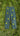 Pantalon unisexe vert Citron